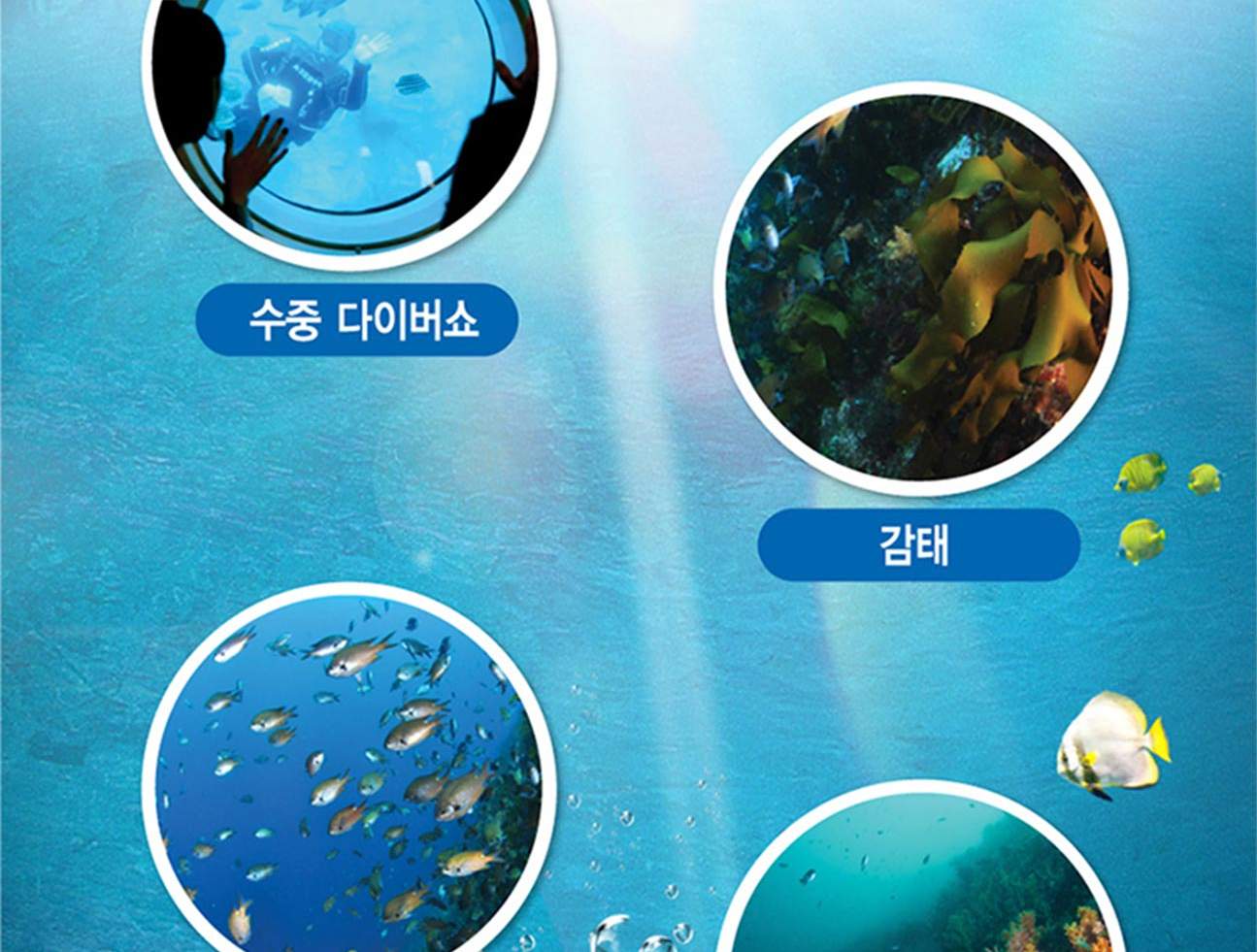 [제주] 서귀포잠수함